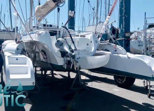 DRAGONFLY - DRAGONFLY 28 - 15