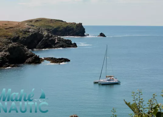 DRAGONFLY - DRAGONFLY 28 - 17