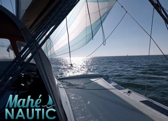 DRAGONFLY - DRAGONFLY 28 - 3