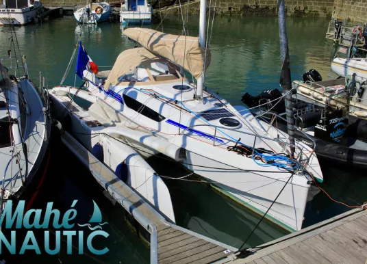 DRAGONFLY - DRAGONFLY 28 - 5