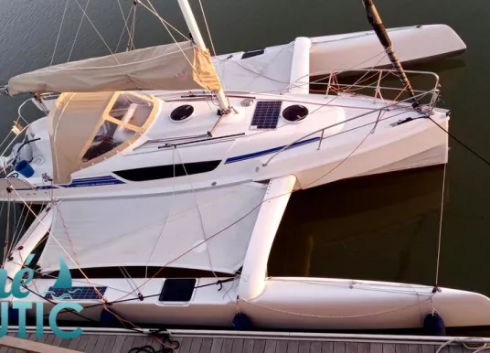 DRAGONFLY - DRAGONFLY 28 - 6