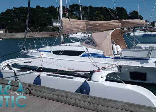 DRAGONFLY - DRAGONFLY 28 - 7