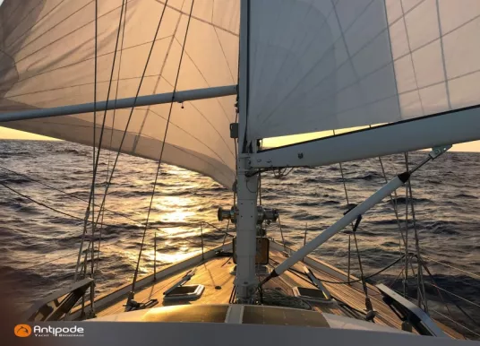 CONYPLEX - CONTEST 55 CS - 26