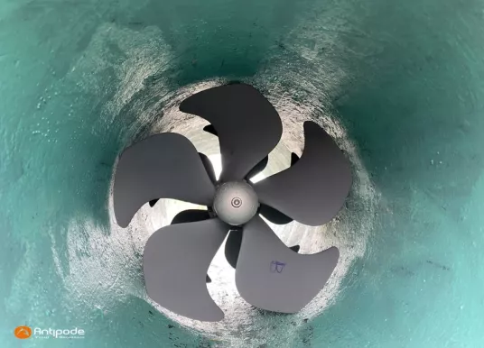 CONYPLEX - CONTEST 55 CS - 44