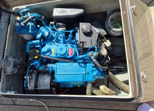 BLACK PEPPER - CODE 0 - 12