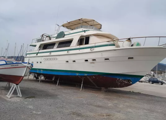 TRADER - TRADER 65 - 11