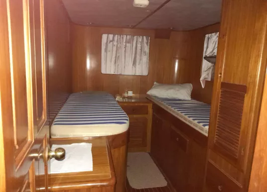 TRADER - TRADER 65 - 6