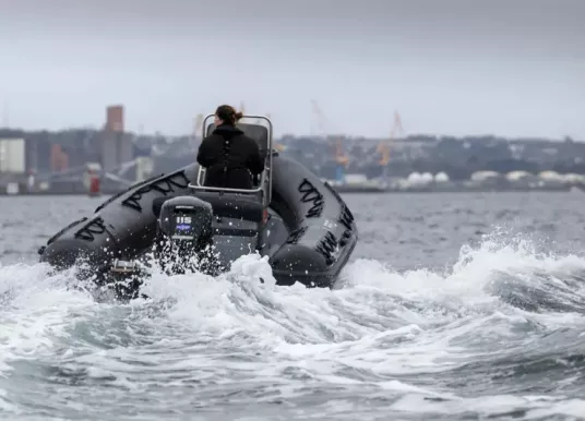 3D TENDER - X PRO 589 - 3