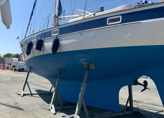 HALLBERG-RASSY - HALLBERG-RASSY 352 - 3