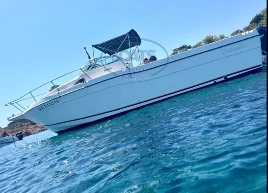 SEASWIRL - SEASWIRL 2600 - 15