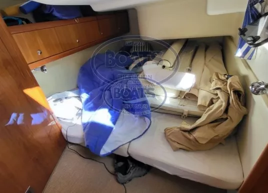 ACM - ACM 38 EXCELLENCE - 14