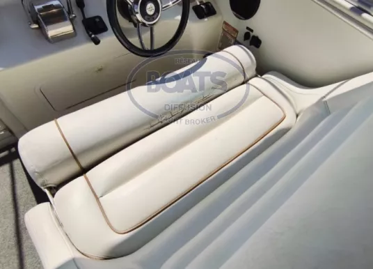 SEA RAY - SEA RAY 290 AMBERJACK - 14