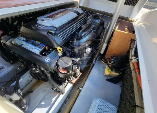 TECNORIB - PIRELLI PZERO 1000 - 7