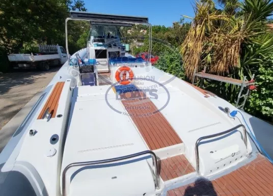 TECNORIB - PIRELLI PZERO 1000 - 10