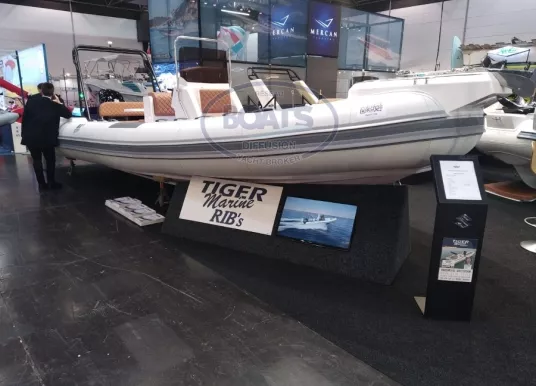 TIGER MARINE - TIGER MARINE 750 OPEN - 5