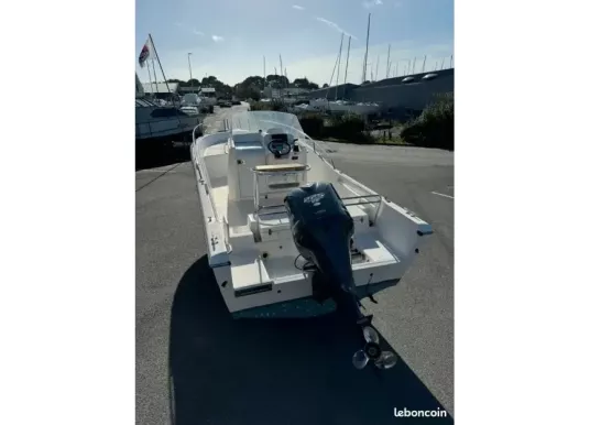 WHITE SHARK - WHITE SHARK 246 - 3