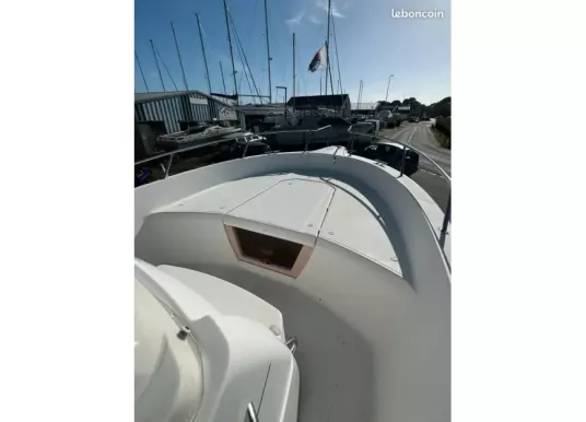 WHITE SHARK - WHITE SHARK 246 - 4