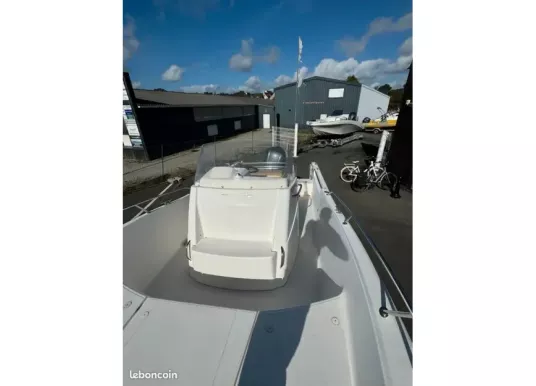 WHITE SHARK - WHITE SHARK 246 - 5