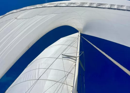 MULTIHULL BOATBUILDERS - NIMBLE 50 - 15