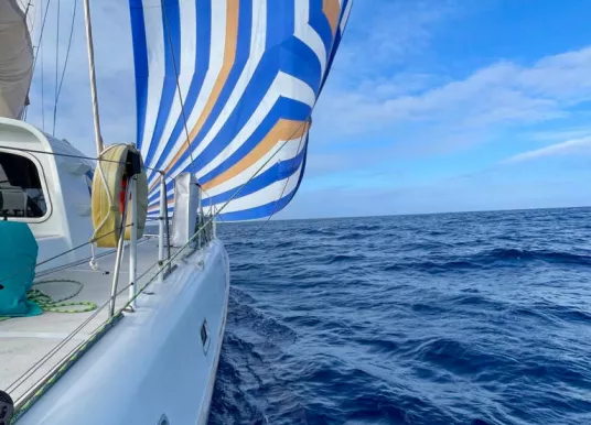 MULTIHULL BOATBUILDERS - NIMBLE 50 - 74