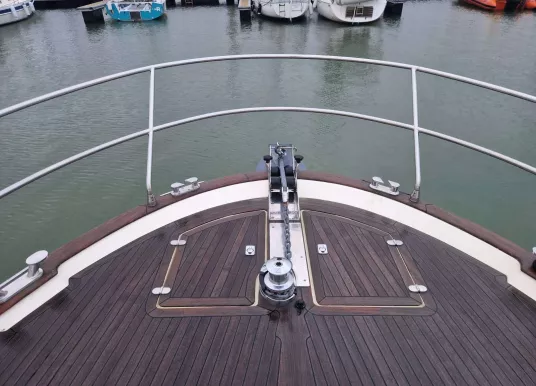 ACM - ACM DYNASTY 43 - 11