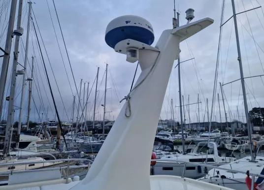 ACM - ACM DYNASTY 43 - 19