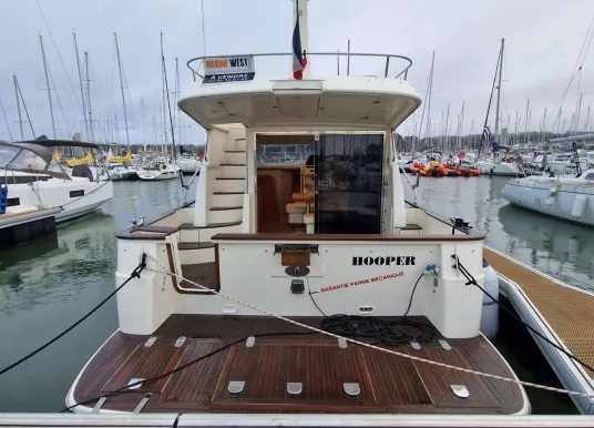 ACM - ACM DYNASTY 43 - 3