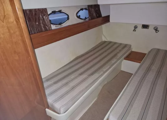 ACM - ACM DYNASTY 43 - 28