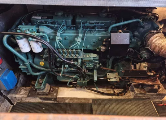 ACM - ACM DYNASTY 43 - 29