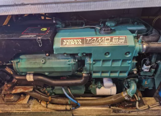 ACM - ACM DYNASTY 43 - 30