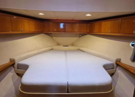 ACM - ACM DYNASTY 43 - 5