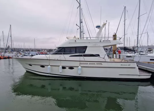 ACM - ACM DYNASTY 43 - 6