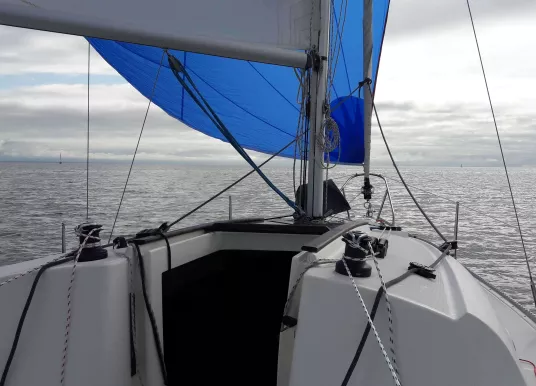 JEANNEAU - SUN 2500 - 3