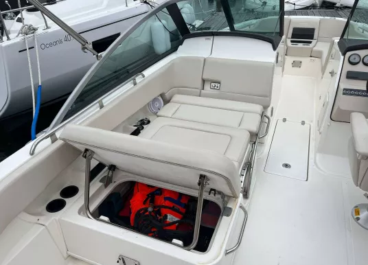 BOSTON WHALER - VANTAGE 270 - 11