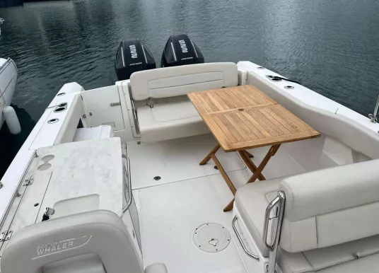 BOSTON WHALER - VANTAGE 270 - 17