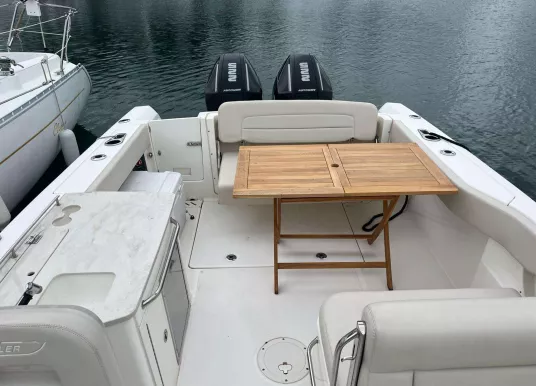 BOSTON WHALER - VANTAGE 270 - 4