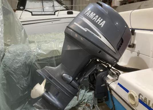 KELT - AZURA 600 - 14