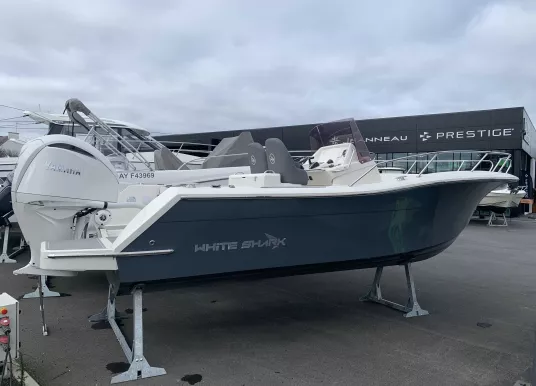 WHITE SHARK - WHITE SHARK 240 CC - 2