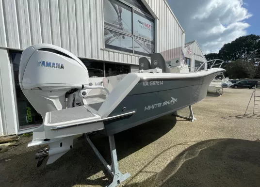 WHITE SHARK - WHITE SHARK 240 CC - 2