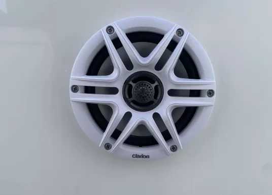 WHITE SHARK - WHITE SHARK 240 CC - 14