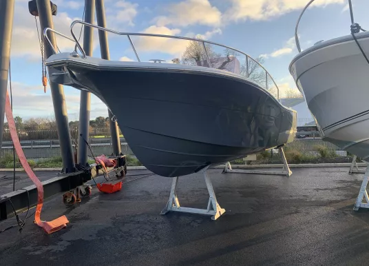 WHITE SHARK - WHITE SHARK 240 CC - 3