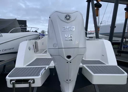 WHITE SHARK - WHITE SHARK 240 CC - 4