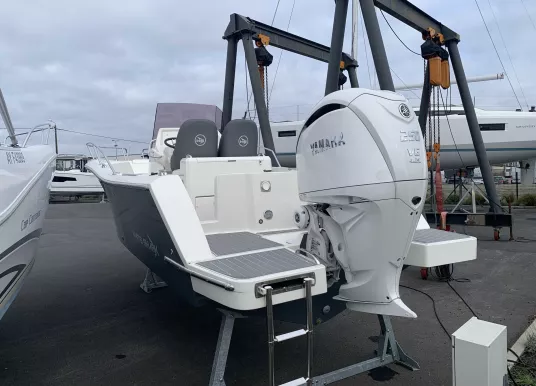 WHITE SHARK - WHITE SHARK 240 CC - 5