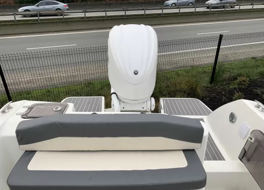 WHITE SHARK - WHITE SHARK 240 CC - 6