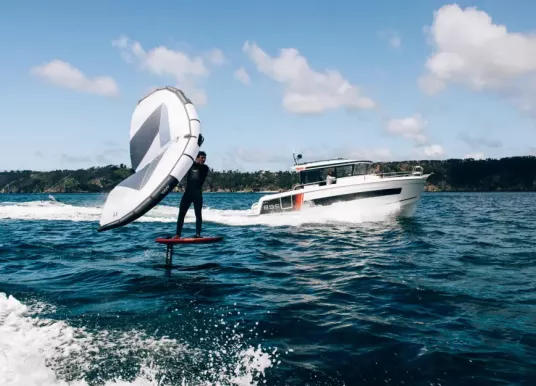 JEANNEAU - MERRY FISHER 895 - 15