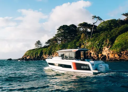 JEANNEAU - MERRY FISHER 895 - 18