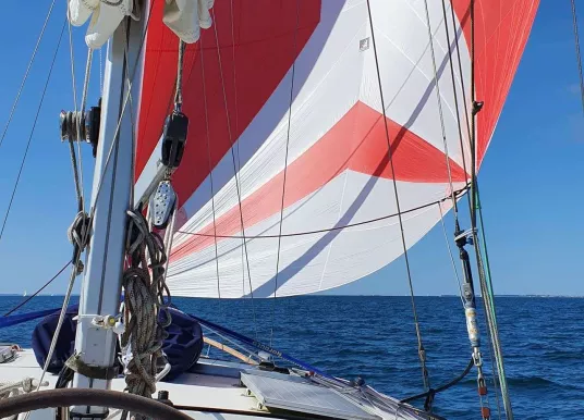 NAUTICAT - NAUTICAT 331 - 2