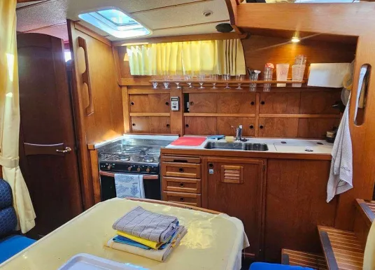 NAUTICAT - NAUTICAT 331 - 5