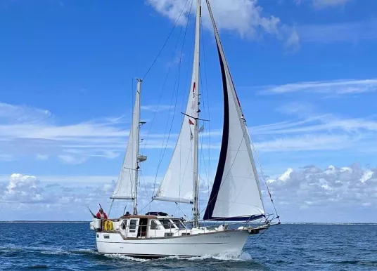 NAUTICAT - NAUTICAT 331 - 7