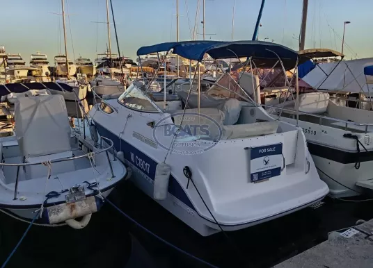 BAYLINER - BAYLINER 245 CIERA - 2